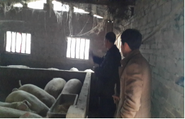 918²©ÌìÌÃ(Öйú)Æì½¢Ìü