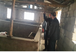 918������(�й�)�콢��