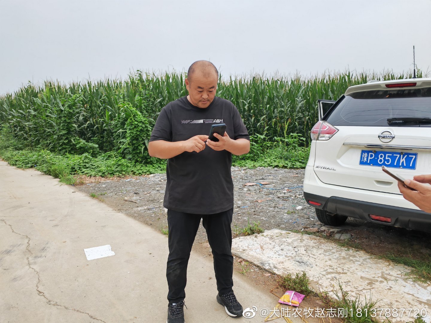 5����ʯ��һ�����̫������������ĸ������100ͷ���Ƽ���Ч��ĸ���ϼ��̷��ͽ̱���.jpg