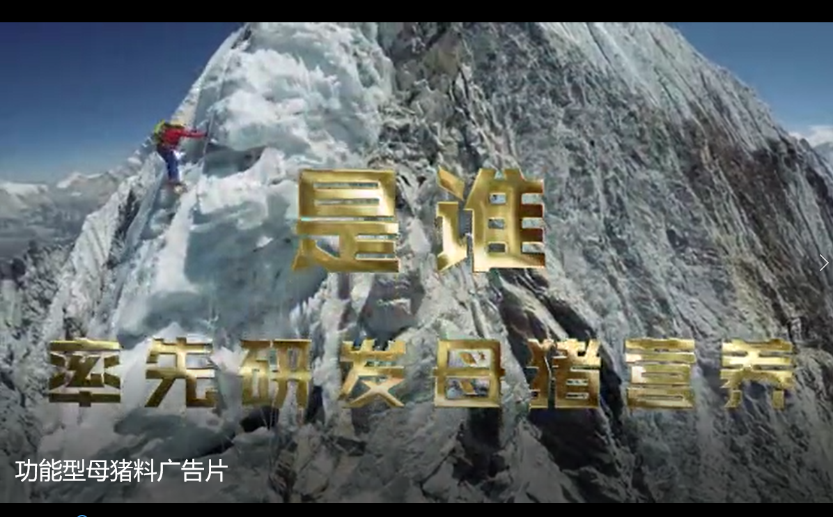 ��Ч��ĸ��������Ƭ